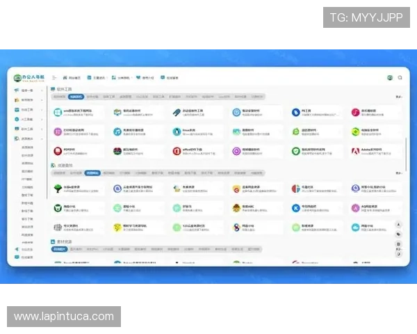 尊龙爱导航：用户反馈与改进建议汇总推动导航工具不断优化升级